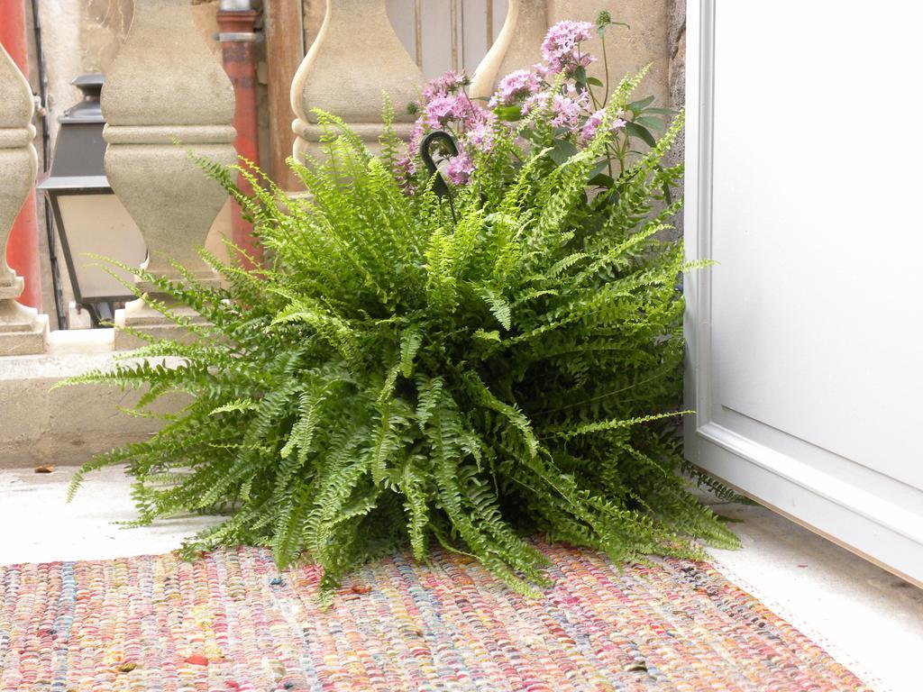 Appartement La Terrasse du Marché aux Fleurs à Montpellier Extérieur photo